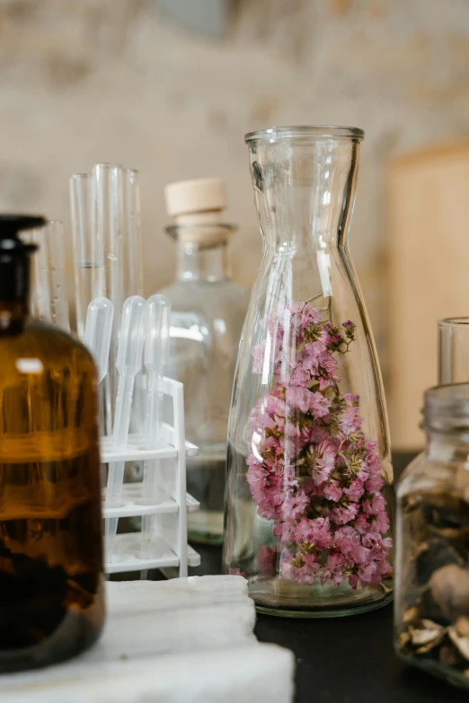 a bunch of bottles sitting on top of a table, a still life, unsplash, plants in scientific glassware, pink flowers, brown, artisanal art