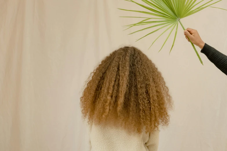 a woman holding a green palm leaf above her head, by Nathalie Rattner, pexels contest winner, renaissance, long afro hair, muted brown, medium shot of two characters, long shot from back