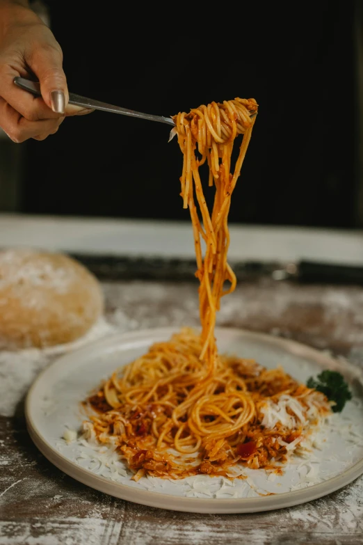 a person holding a fork over a plate of spaghetti, profile image, large)}], item