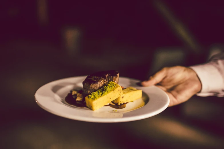 a person holding a plate with food on it, by Nick Fudge, pexels contest winner, renaissance, beef, yellow, (night), lachlan bailey