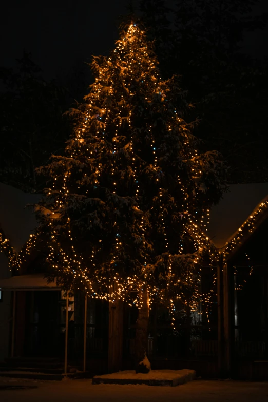 a lighted christmas tree in front of a house, a picture, by Jan Tengnagel, taken with sony alpha 9, atmospheric lighting - n 9, low detail, lights on ceiling