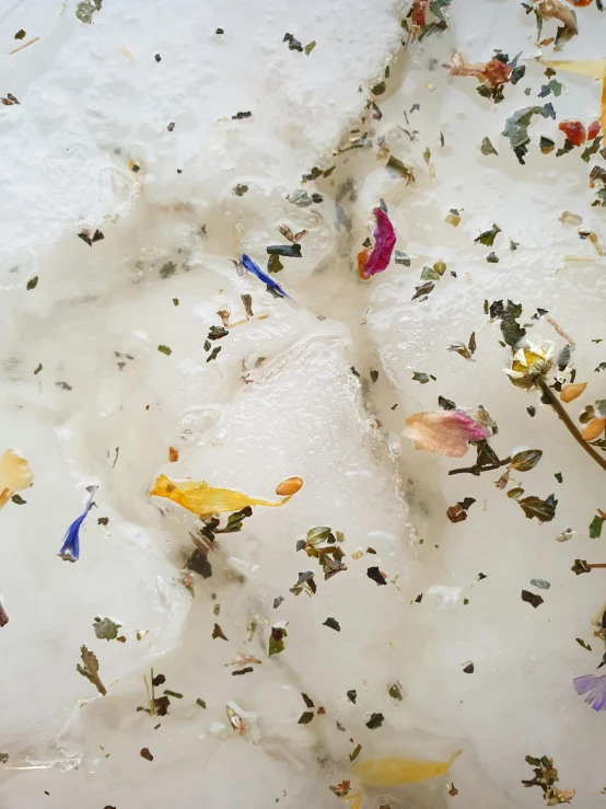 a cake sitting on top of a white plate covered in frosting, inspired by Anselm Kiefer, trending on unsplash, process art, bed of flowers on floor, bubble bath, herbs, ignant