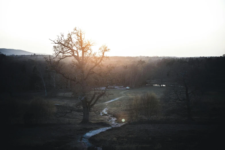 a lone tree sitting in the middle of a field, inspired by Elsa Bleda, unsplash contest winner, australian tonalism, river in a forest, sun down, high view, sparse bare trees