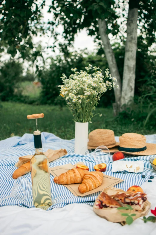 a blue and white blanket sitting on top of a grass covered field, white wine bottle, food, on a table, champagne on the table