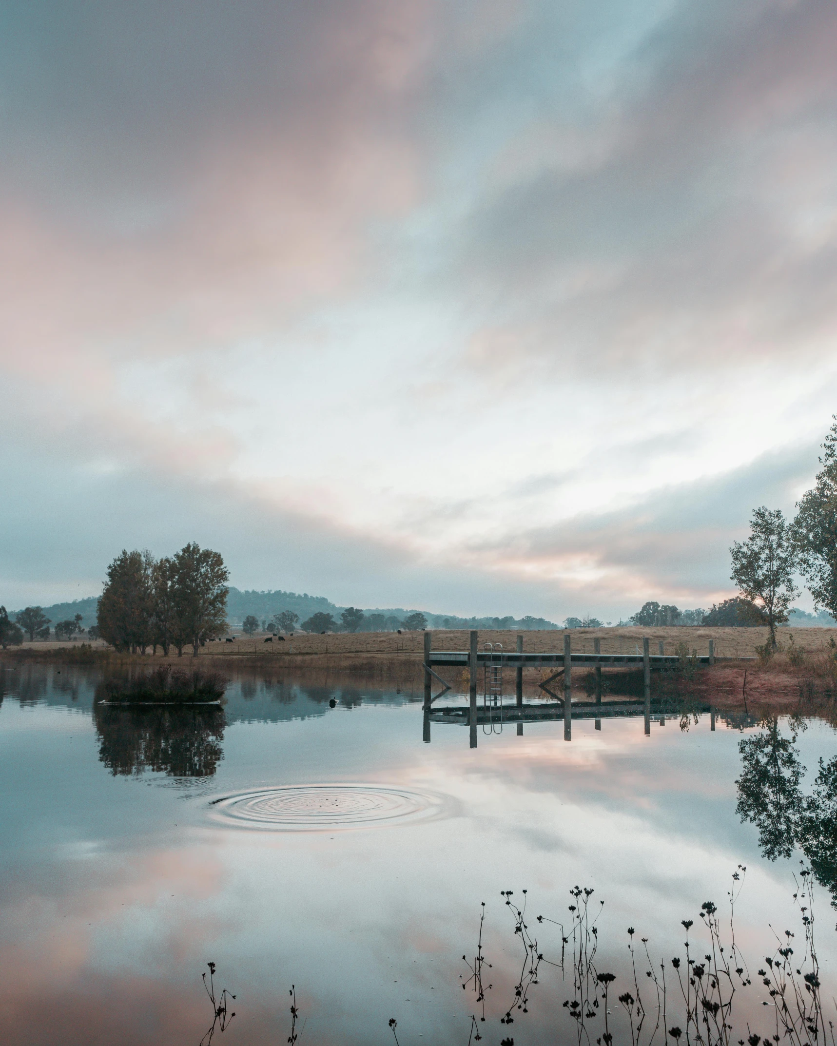a body of water with a dock in the middle of it, swedish countryside, soft glow, bubbly scenery, unsplash photography