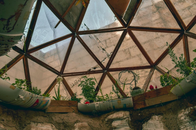 a glass dome with plants growing inside of it, unsplash contest winner, environmental art, rammed earth courtyard, window into space behind them, in an igloo, threyda