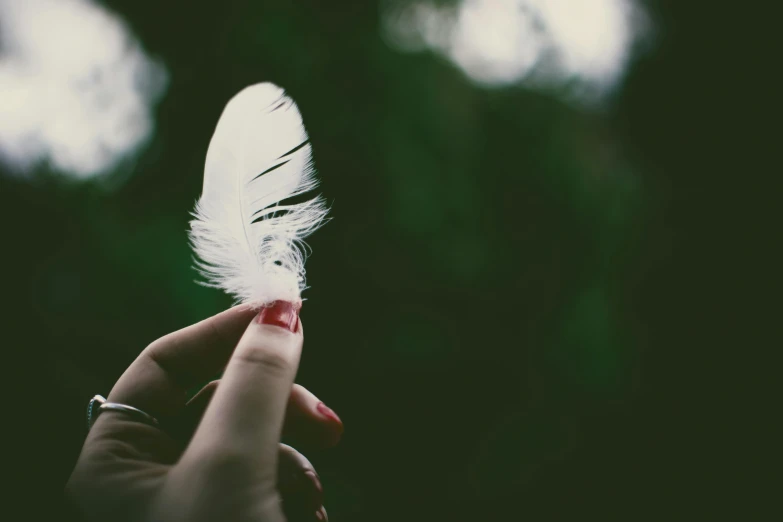 a person holding a white feather in their hand, inspired by Elsa Bleda, pexels contest winner, instagram post, faerie, glossy photo, photograph”