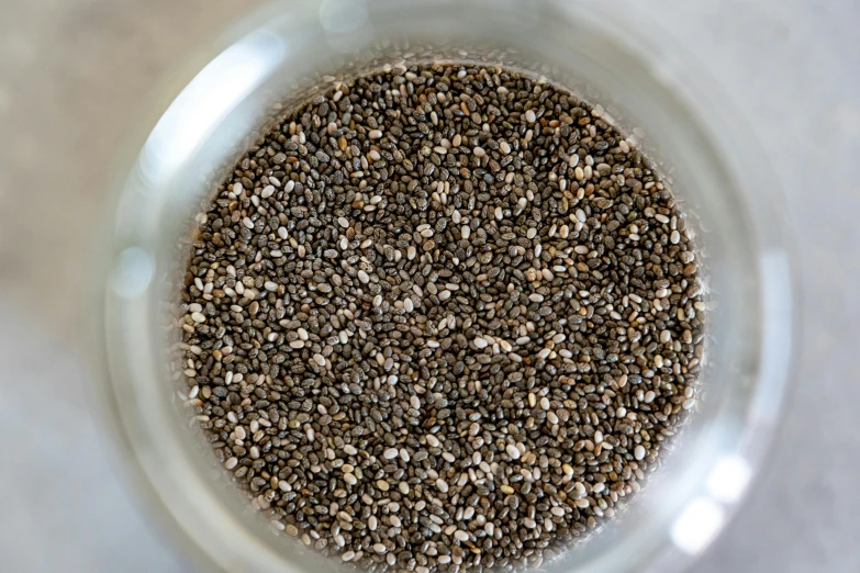 a close up of a bowl of chia seeds, renaissance, 3 mm, fan favorite, poppy, o'neill cylinder colony