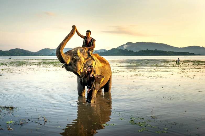 a man riding on the back of an elephant in a body of water, inspired by Steve McCurry, sumatraism, golden hour photo, idyllic, 🦑 design, award winning masterpiece photo