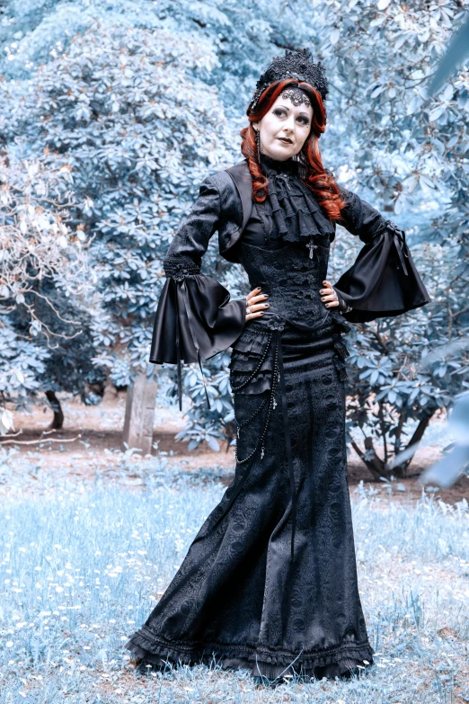 a woman in a black dress standing in a field, an album cover, inspired by Rudolf von Alt, gothic art, in detailed steampunk dress, voluminous sleeves, photo taken in 2 0 2 0, in a garden