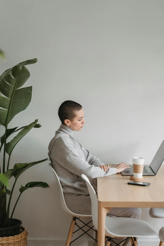 a man sitting at a table working on a laptop, pexels contest winner, an epic non - binary model, profile image, plants, very minimal