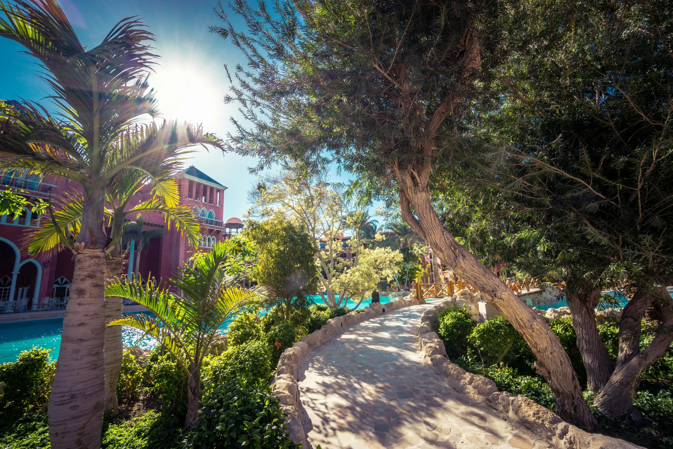 a pathway leading to a pool surrounded by trees, by Bouchta El Hayani, unsplash, turquoise and venetian red, resort, avatar image, sunny day time