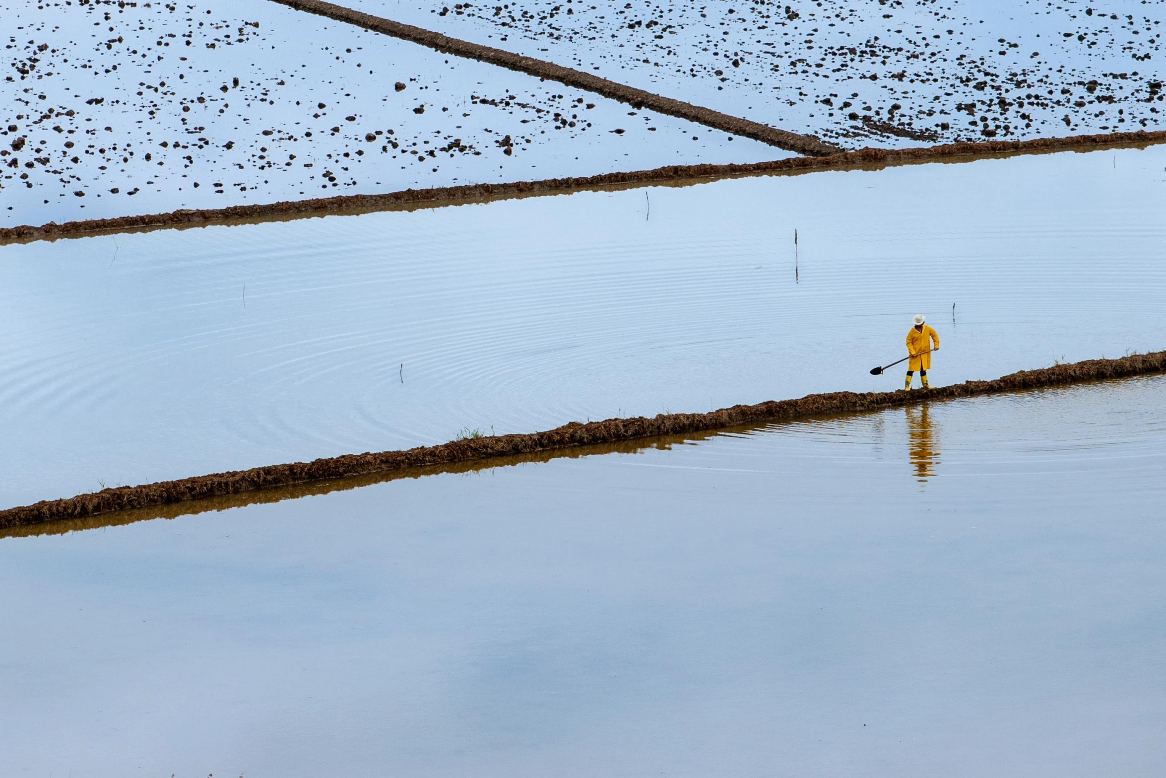 a person standing in the middle of a body of water, farming, some yellow and blue, runway, standing water