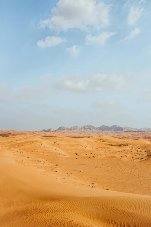 a person riding a horse in the desert, by Peter Churcher, trending on unsplash, hurufiyya, landscape with red mountains, panorama, oman, slightly minimal