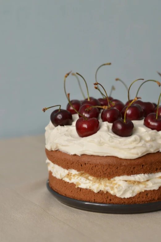 a close up of a cake with cherries on top, by Leila Faithfull, figuration libre, award - winning crisp details ”, chestnut hair, brown:-2, mayo