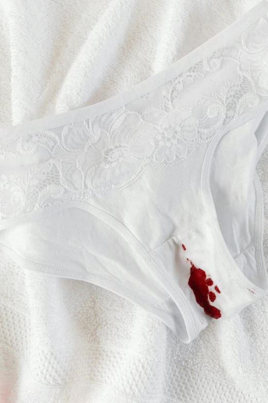 a close up of a piece of clothing on a bed, by Elsa Bleda, reddit, bleeding in the bath, white background, white red, vines