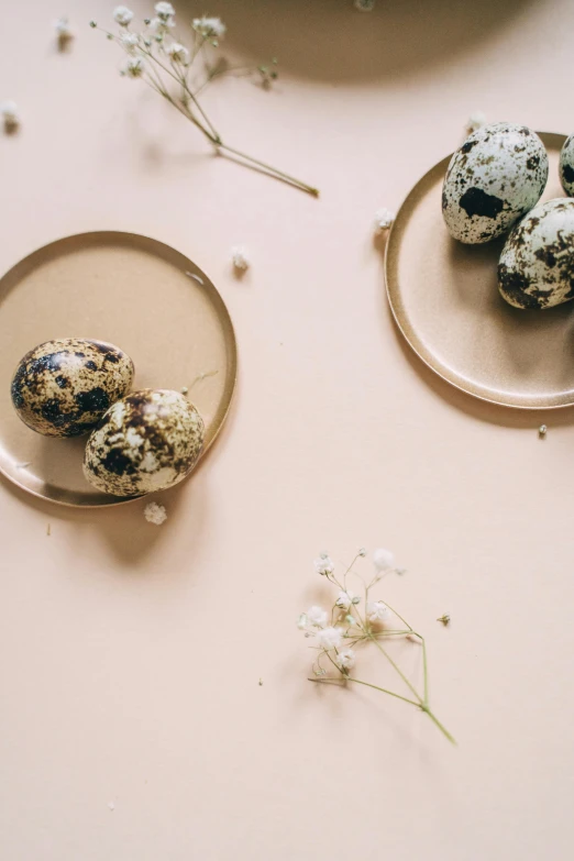 quails and flowers on plates on a table, by Jan Tengnagel, trending on unsplash, mingei, eggshell color, eggs, thumbnail, shot on hasselblad