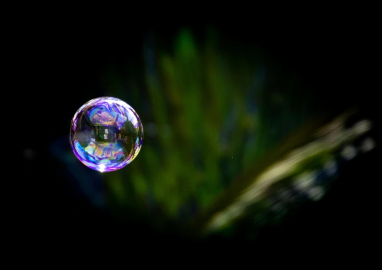 a soap bubble sitting on top of a tree branch, a macro photograph, by Jan Rustem, pexels, on black background, shimmering iridescent water, pincushion lens effect, particle physics