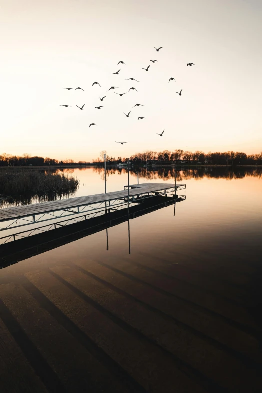 a group of birds flying over a body of water, by Winona Nelson, pexels contest winner, minimalism, boat dock, minn, a park, spring evening