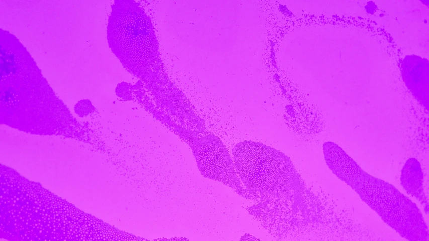 a close up of a person's hand and foot prints, a microscopic photo, inspired by Yves Klein, generative art, ((purple)), microscopic tardigrade, taken in the early 2020s, detailed product image