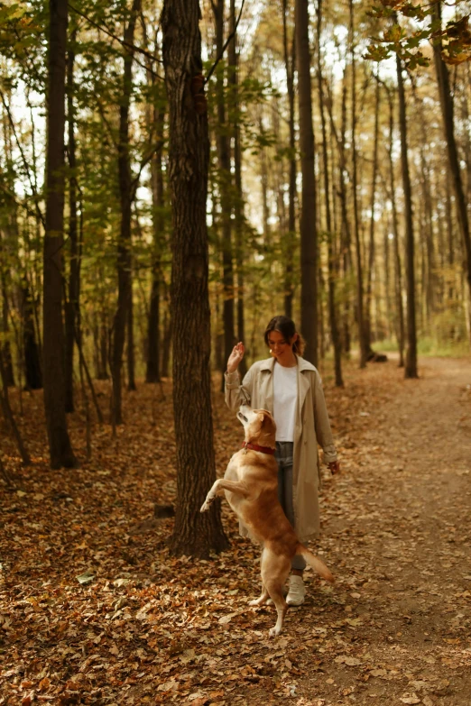 a woman walking a dog in the woods, a portrait, pexels, light brown coat, [ cinematic, gold, a park