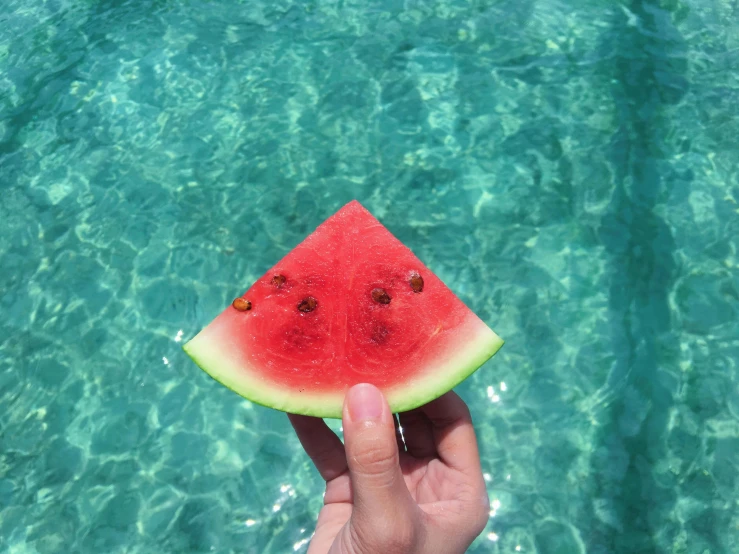 a person holding a piece of watermelon in their hand, by Niko Henrichon, pexels contest winner, turquoise water, 🍸🍋