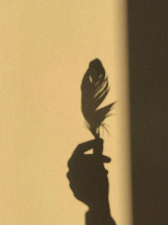 a shadow of a person holding a feather, inspired by Robert Mapplethorpe, profile image, photograph”, ansel ]