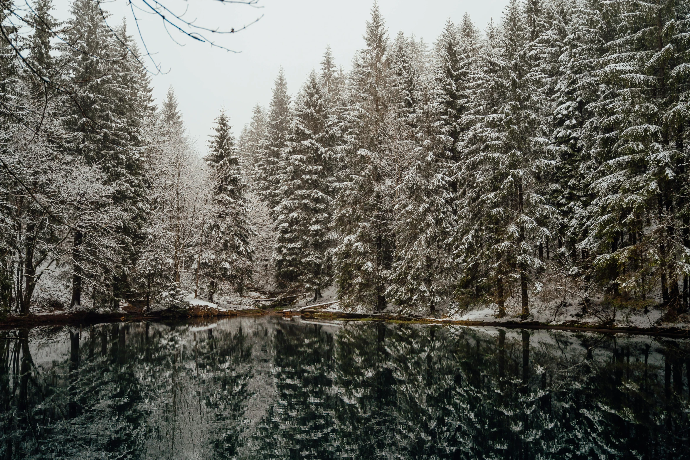 a body of water surrounded by trees covered in snow, inspired by Elsa Bleda, pexels contest winner, black fir, water mirrored water, holiday season, overcast lake