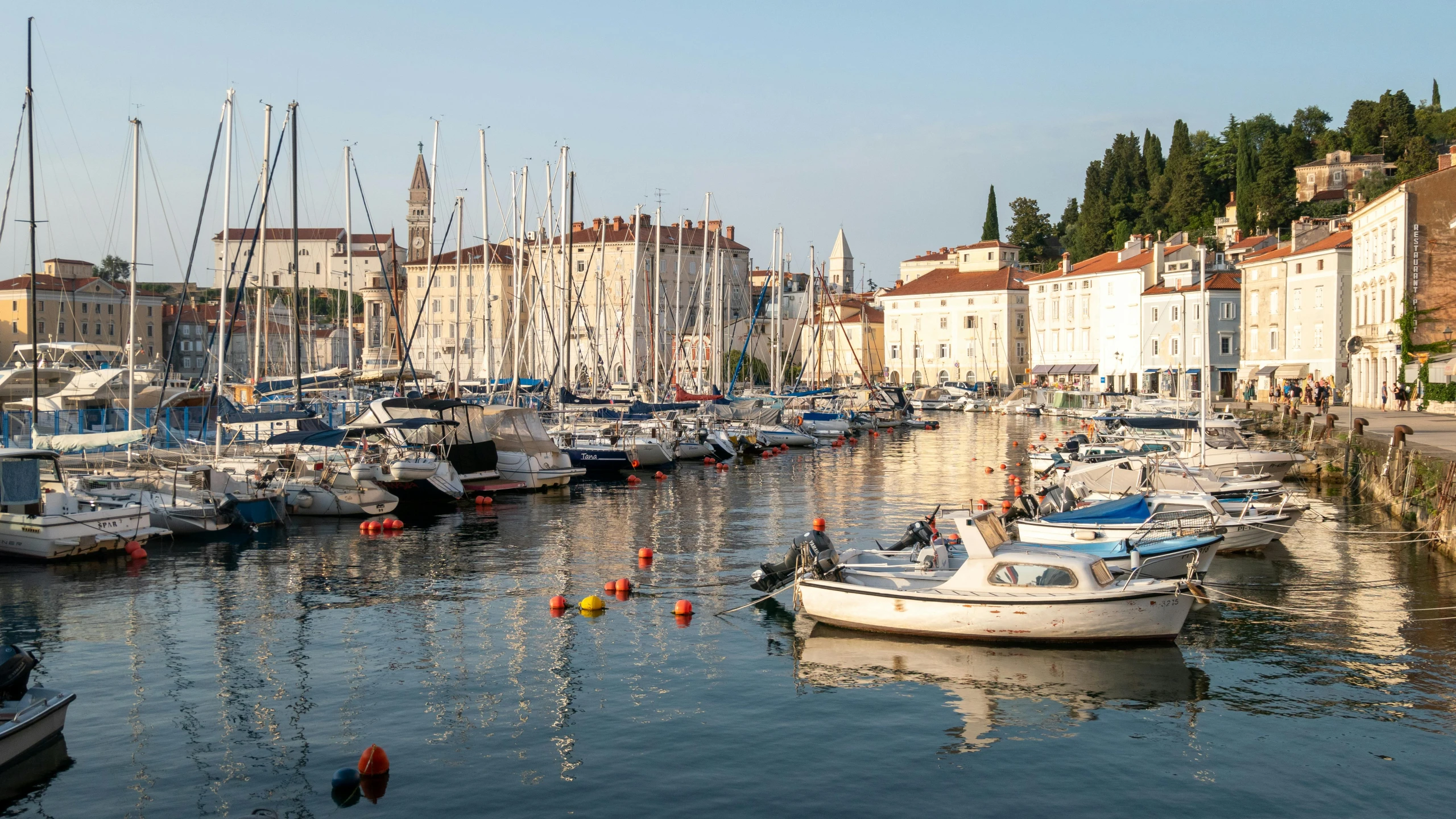 a large body of water filled with lots of boats, by Matija Jama, pexels contest winner, romanticism, square, split near the left, summer morning light, thumbnail