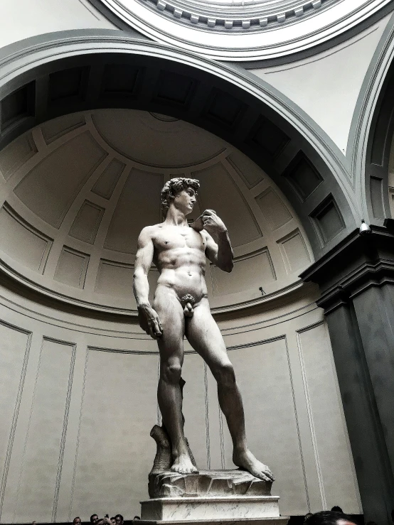 a black and white photo of a statue in a building, a statue, inspired by Michaelangelo, pexels contest winner, ridiculously handsome, with great domes and arches, drag, google arts and cultures