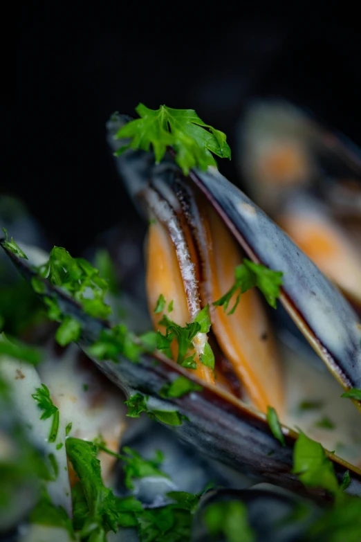 a close up of a bunch of mussels, a macro photograph, by Jan Tengnagel, unsplash, herbs, 15081959 21121991 01012000 4k, made of glazed, thumbnail