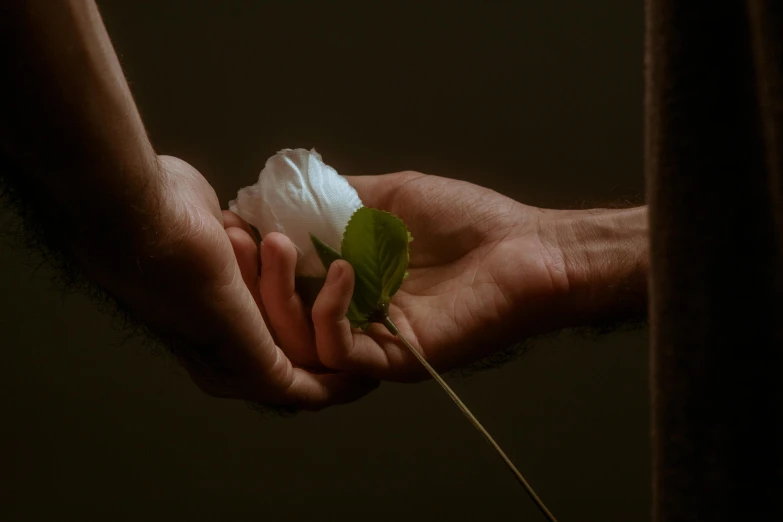 a person holding a flower in their hand, an album cover, inspired by Elsa Bleda, unsplash, romanticism, holding hands, done in the style of caravaggio, profile image, hands of men