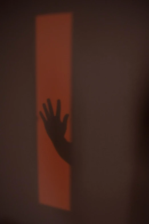 the shadow of a person's hand on a wall, by Steven Belledin, pexels, conceptual art, behind red curtains, brown, horror footage, 15081959 21121991 01012000 4k