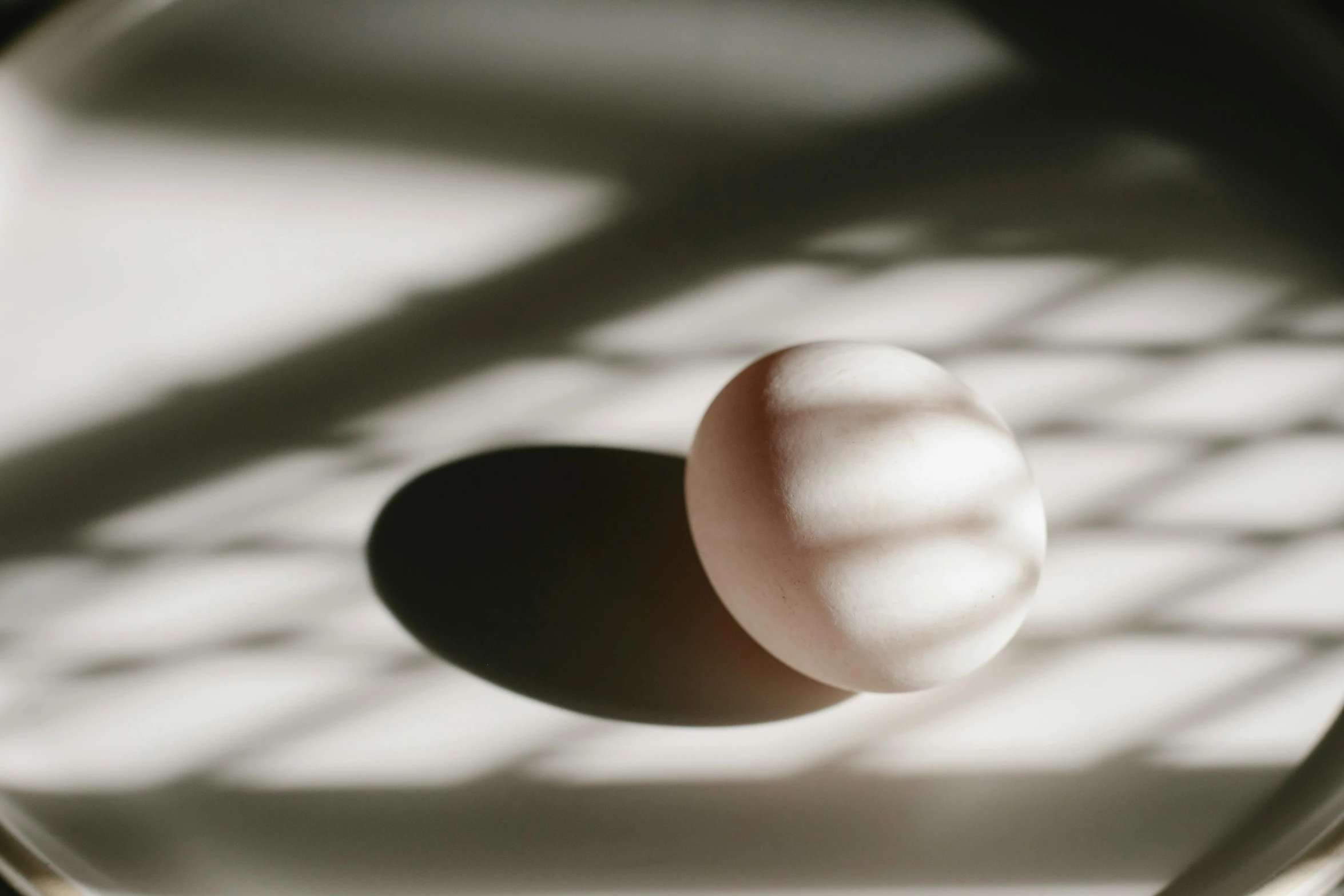 a white egg sitting on top of a white plate, trending on pexels, beautiful shadows, light entering through a blind, ignant, colour photograph