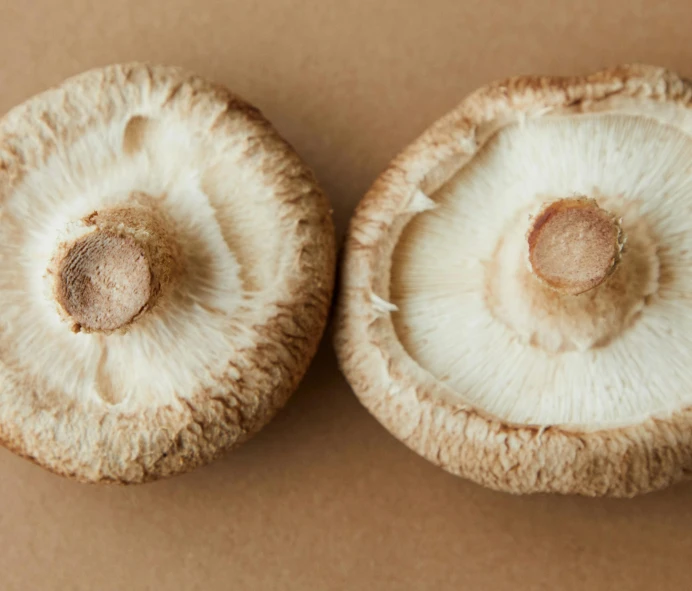 a couple of mushrooms sitting on top of a table, trending on pexels, hurufiyya, pale round face, top - down view, detailed product image, brown stubble