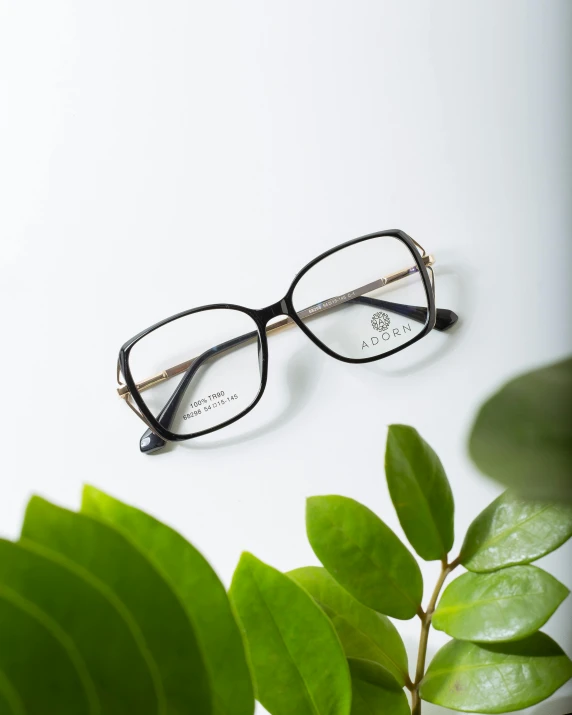 a pair of glasses sitting on top of a plant, product introduction photo, wide frame, arcadia, mid action