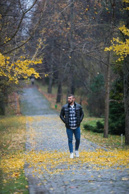 a man walking down a path in a park, a picture, covered in fallen leaves, avatar image, attractive photo, romanian