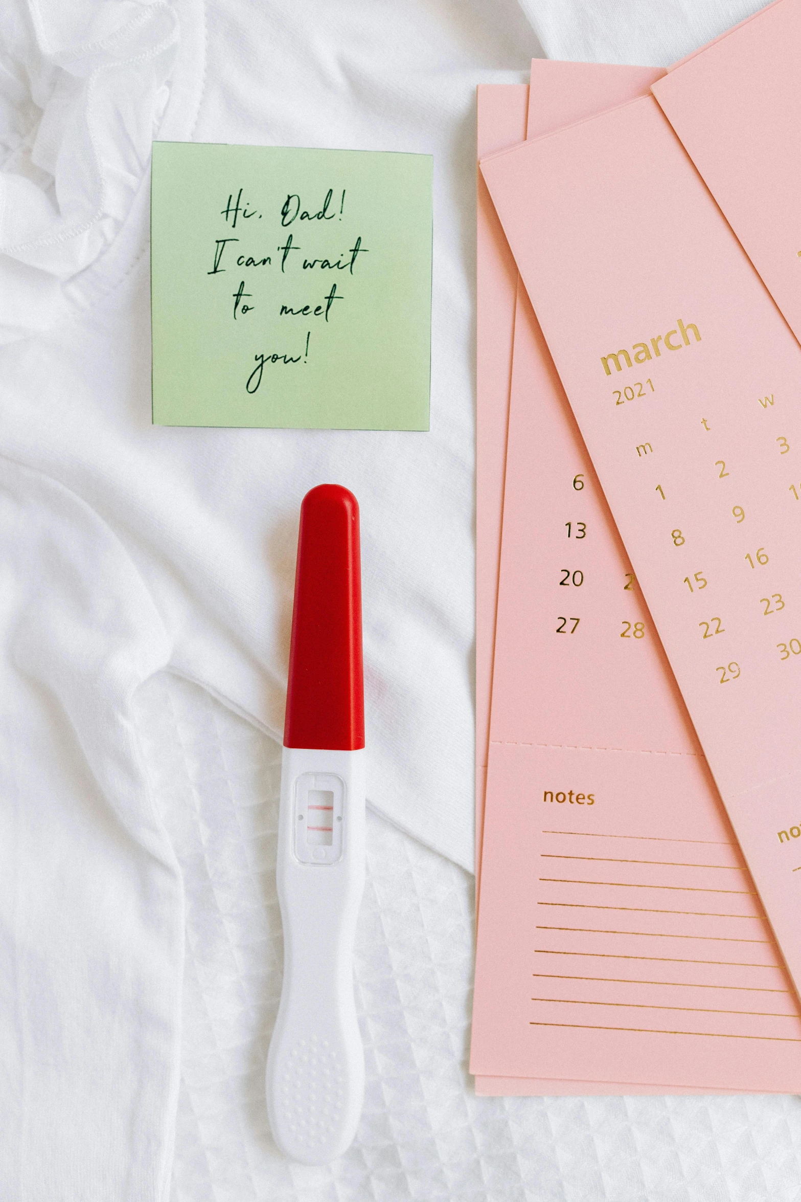 a notepad sitting on top of a bed next to a pen, by Julia Pishtar, trending on pexels, happening, contracept, pink and red color scheme, membrane pregnancy sac, with a long