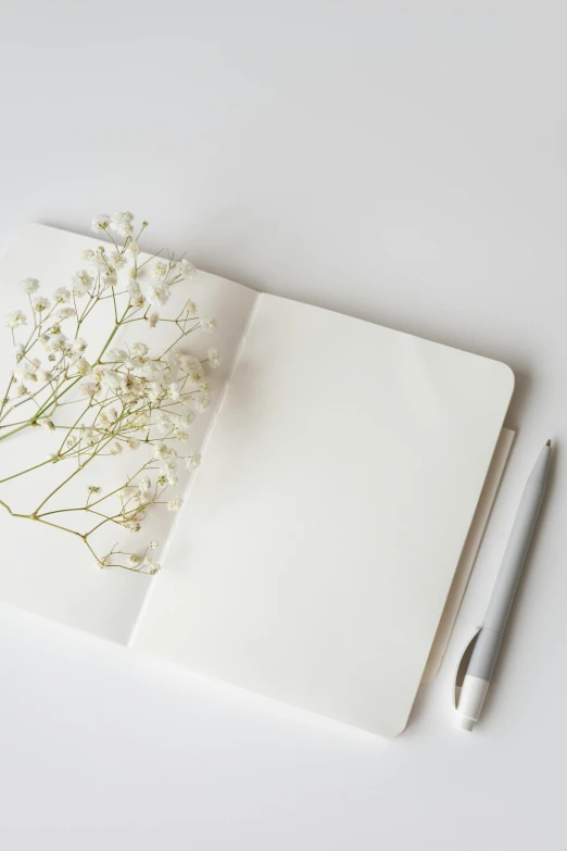 a notebook with a pen sitting on top of it, trending on unsplash, minimalism, ikebana white flowers, multiple stories, gypsophila, product introduction photo