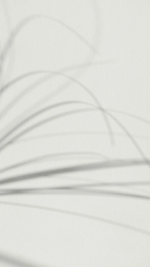 a pair of scissors sitting on top of a table, an abstract drawing, inspired by Kay Sage, lyrical abstraction, grass. kodak, photograph”, graphite on paper, sparse detail