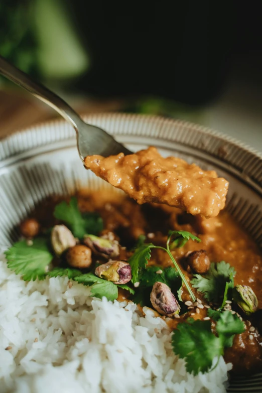 a close up of a plate of food with rice, inspired by John Steuart Curry, pexels contest winner, hurufiyya, thumbnail, spoon placed, brown, at home