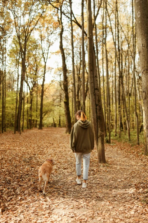 a woman walking her dog in the woods, pexels contest winner, instagram story, golden hues, 4k), 4 k )