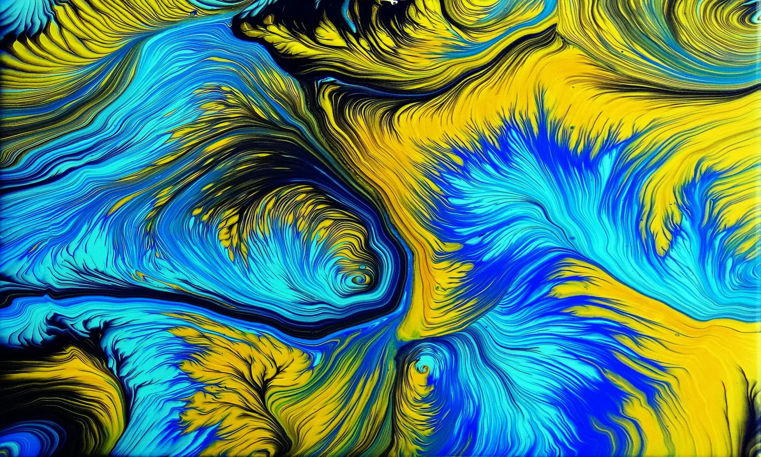 a painting of blue and yellow swirls on a black background, an ultrafine detailed painting, inspired by Vincent Di Fate, pexels, generative art, extreme detail 4 k, ferrofluid oceans, houdini algorithm generative art, lsd feathers