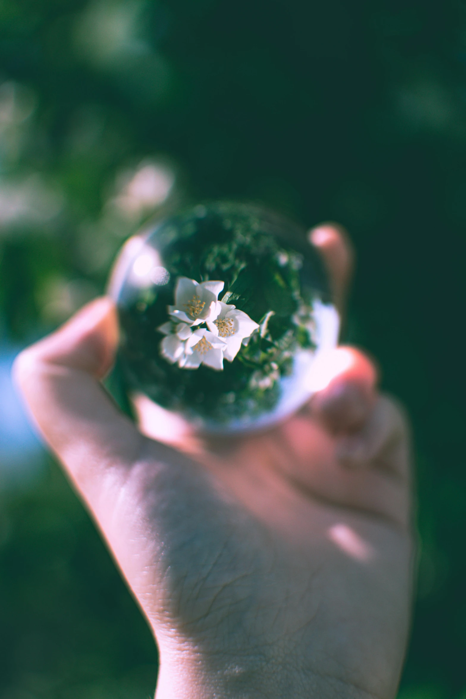 a person holding a glass ball with a flower inside, instagram picture, digital still, green crystal, white flower