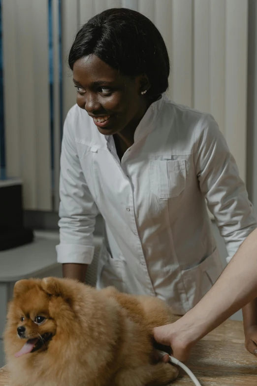 a woman in a white shirt petting a brown dog, doctor, london, thumbnail, visuals