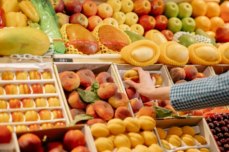 a man standing in front of a display of fruit, by Nicolette Macnamara, pexels, she is easting a peach, inside a supermarket, avatar image, hands on counter