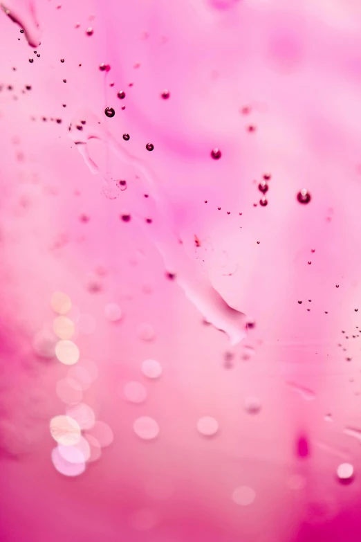 a close up of a pink flower with water droplets, a microscopic photo, trending on pexels, abstract art, made of liquid, lights on, pastel', bubbly