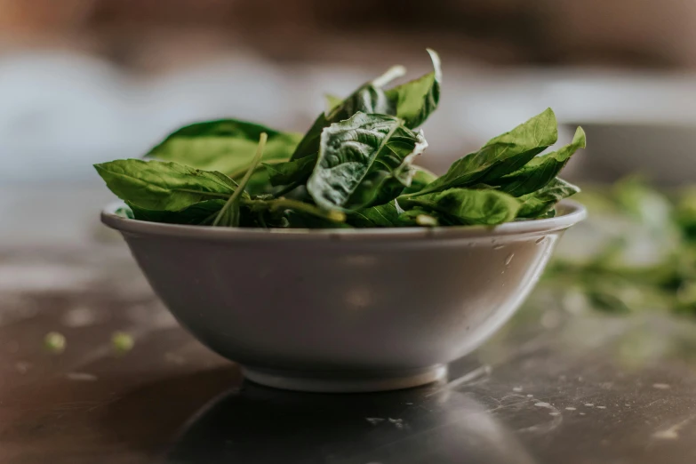 a bowl filled with lettuce sitting on top of a counter, by Daniel Lieske, trending on unsplash, very large basil leaves, profile image, shiny crisp finish, offering a plate of food