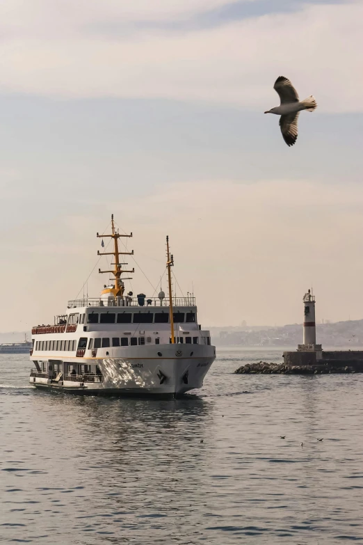 a large white boat floating on top of a body of water, istanbul, an eagle, seagull wearing luigis hat, demur