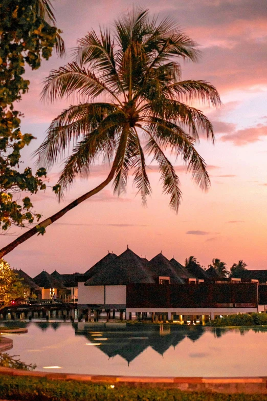 a palm tree sitting next to a swimming pool, during a sunset, houses on stilts, thatched roofs, lagoon